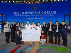 恰是这种整合能力的集中表现