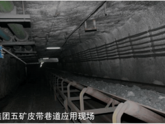 生态协同取资本整合难题：巡检机械人需